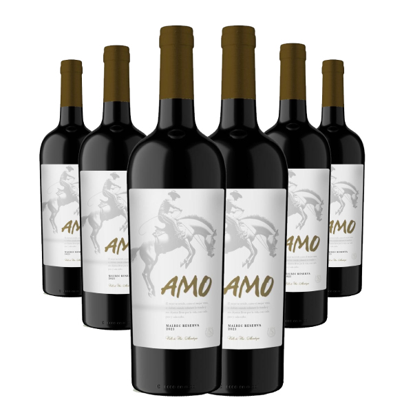 Malbec Reserva 2022 por 6 Unidades
